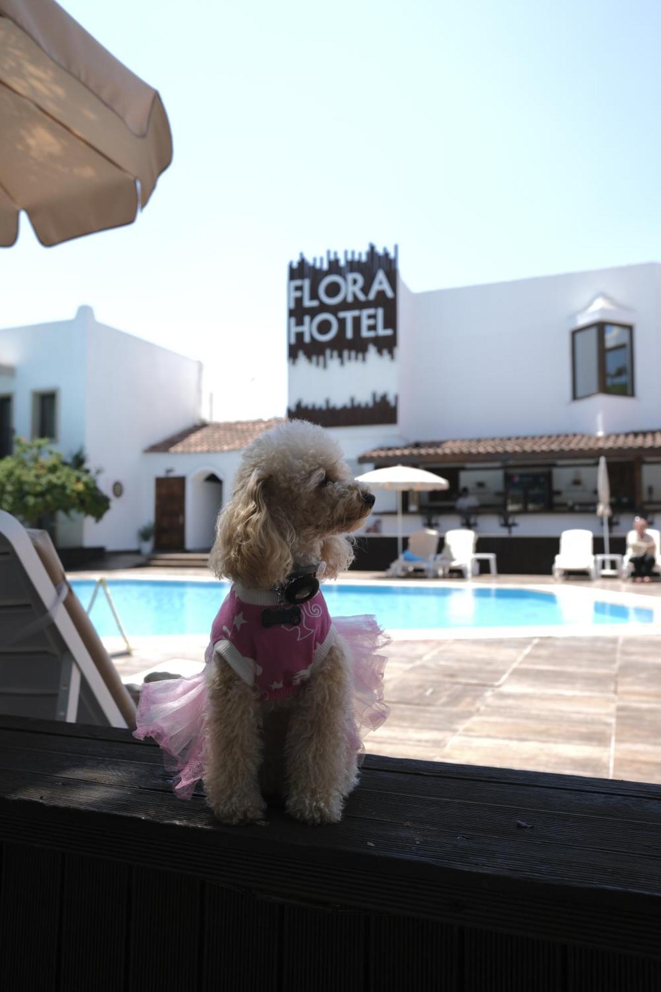 Flora Hotel Gümbet Εξωτερικό φωτογραφία