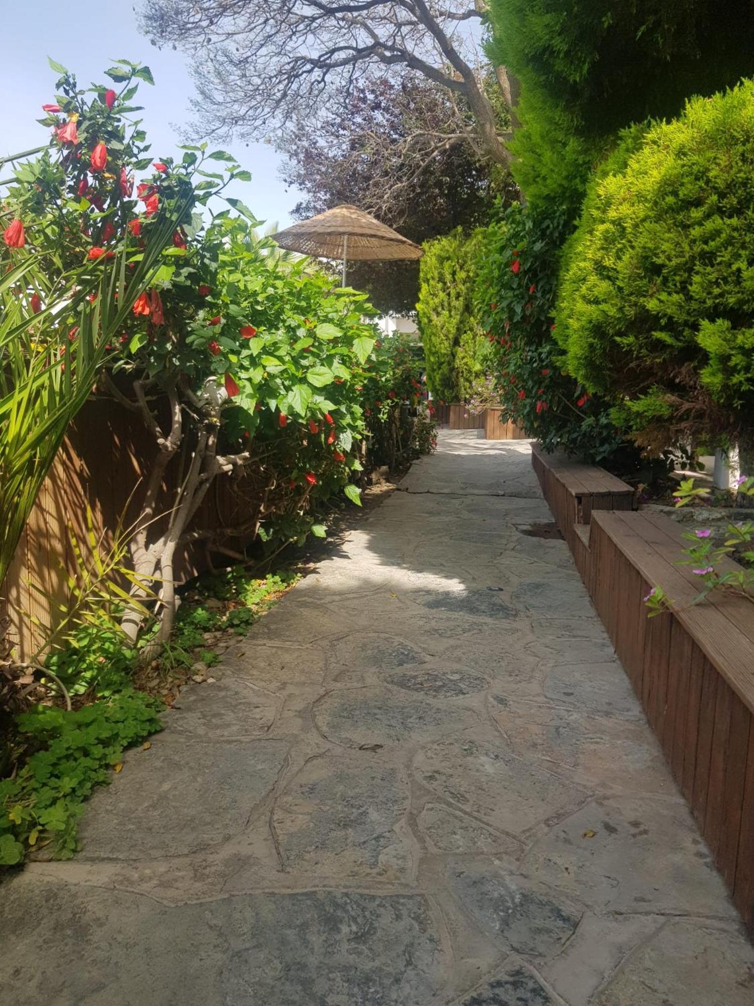 Flora Hotel Gümbet Εξωτερικό φωτογραφία